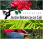 Alianza Jardín Botánico de Cali y Red de Árboles