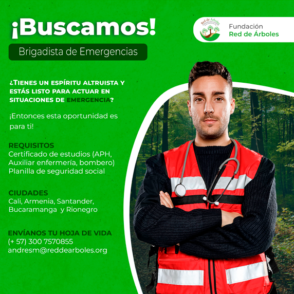 VideoRDA red de arboles