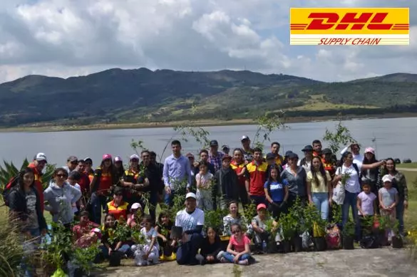 DHl supply chain