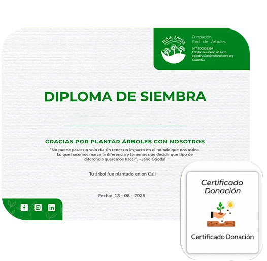 Siembra Siembra ley 2173