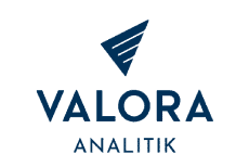 logo-valoraanalitik