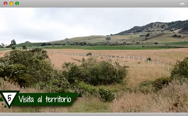 LogisticaRDA red de arboles