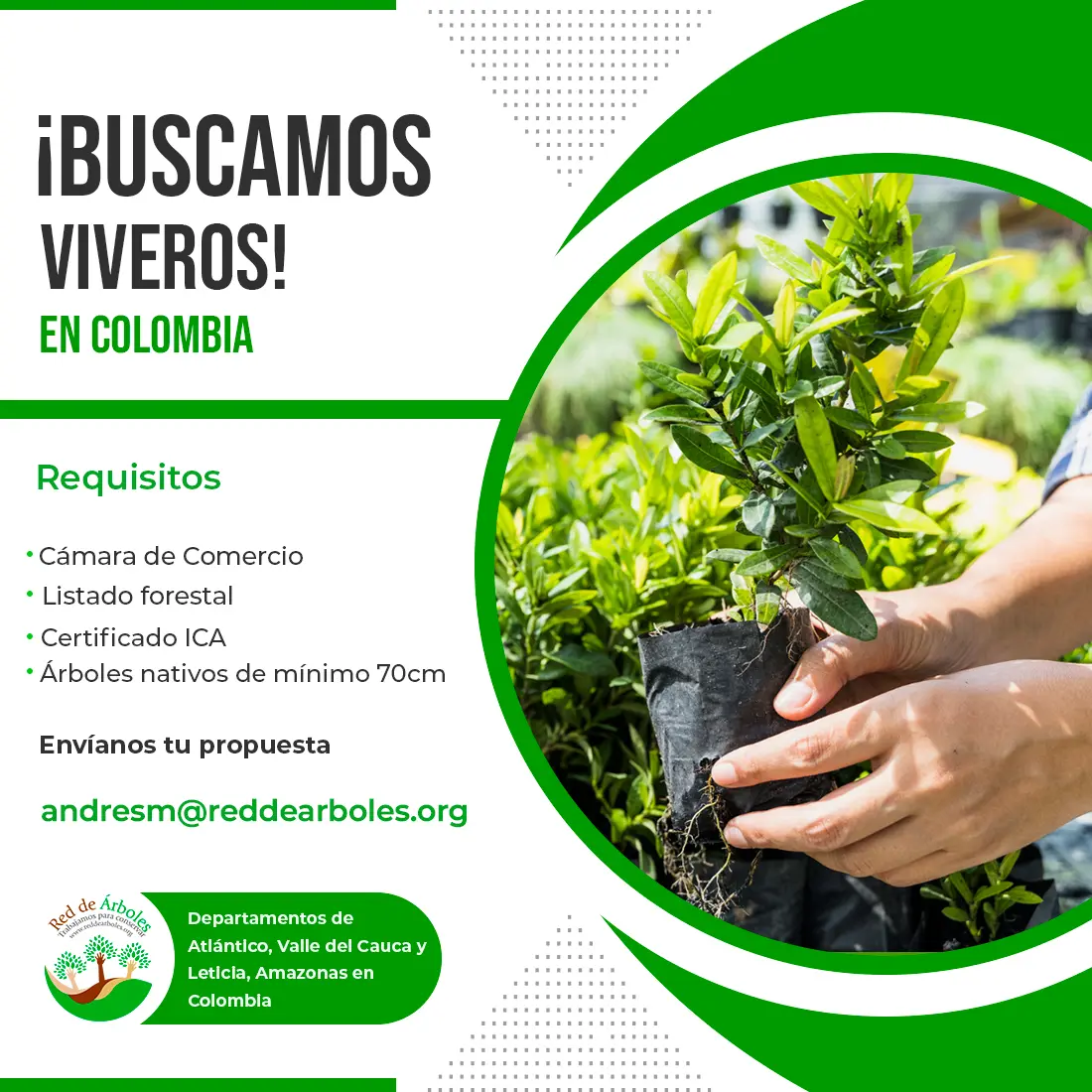 VideoRDA red de arboles