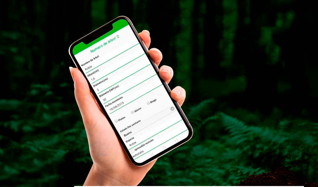 Software especializado
