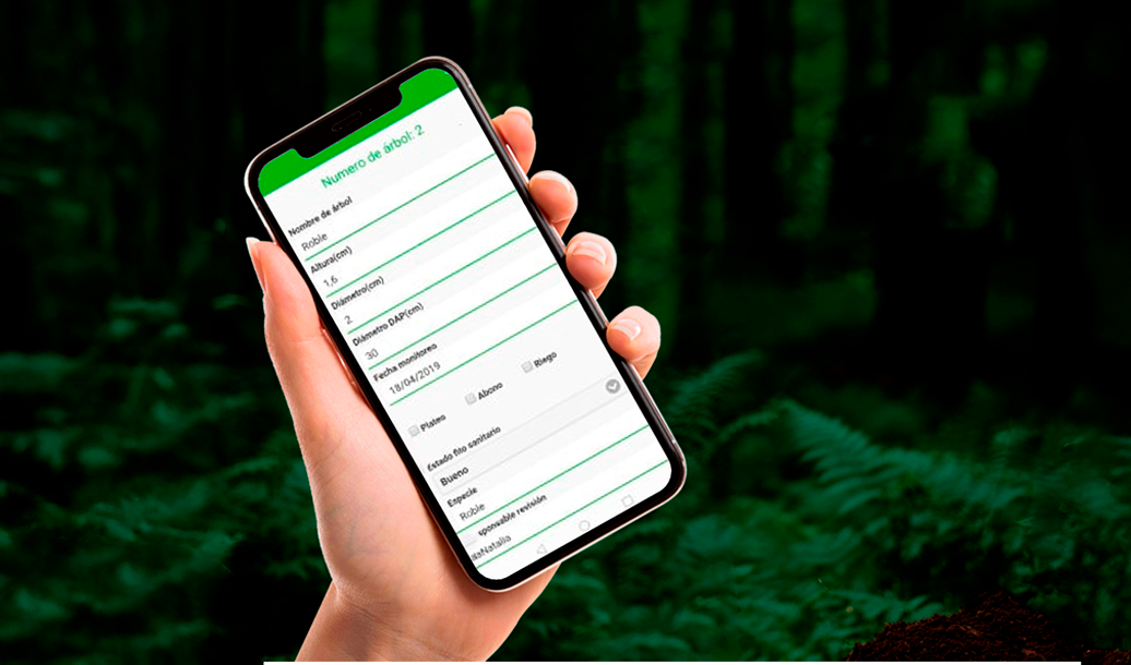 Software especializado