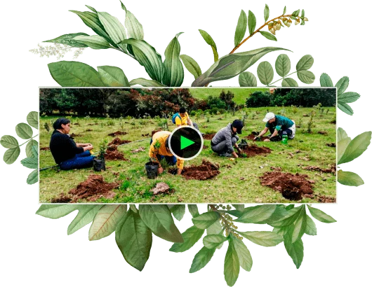 Video de introduccion