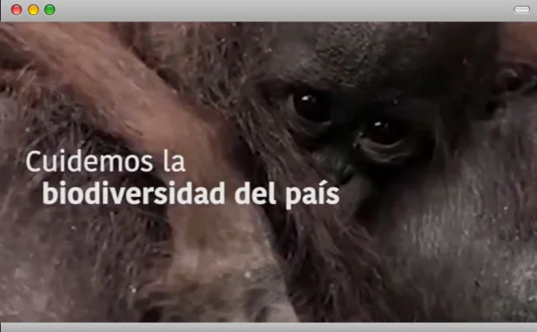 Video de introduccion