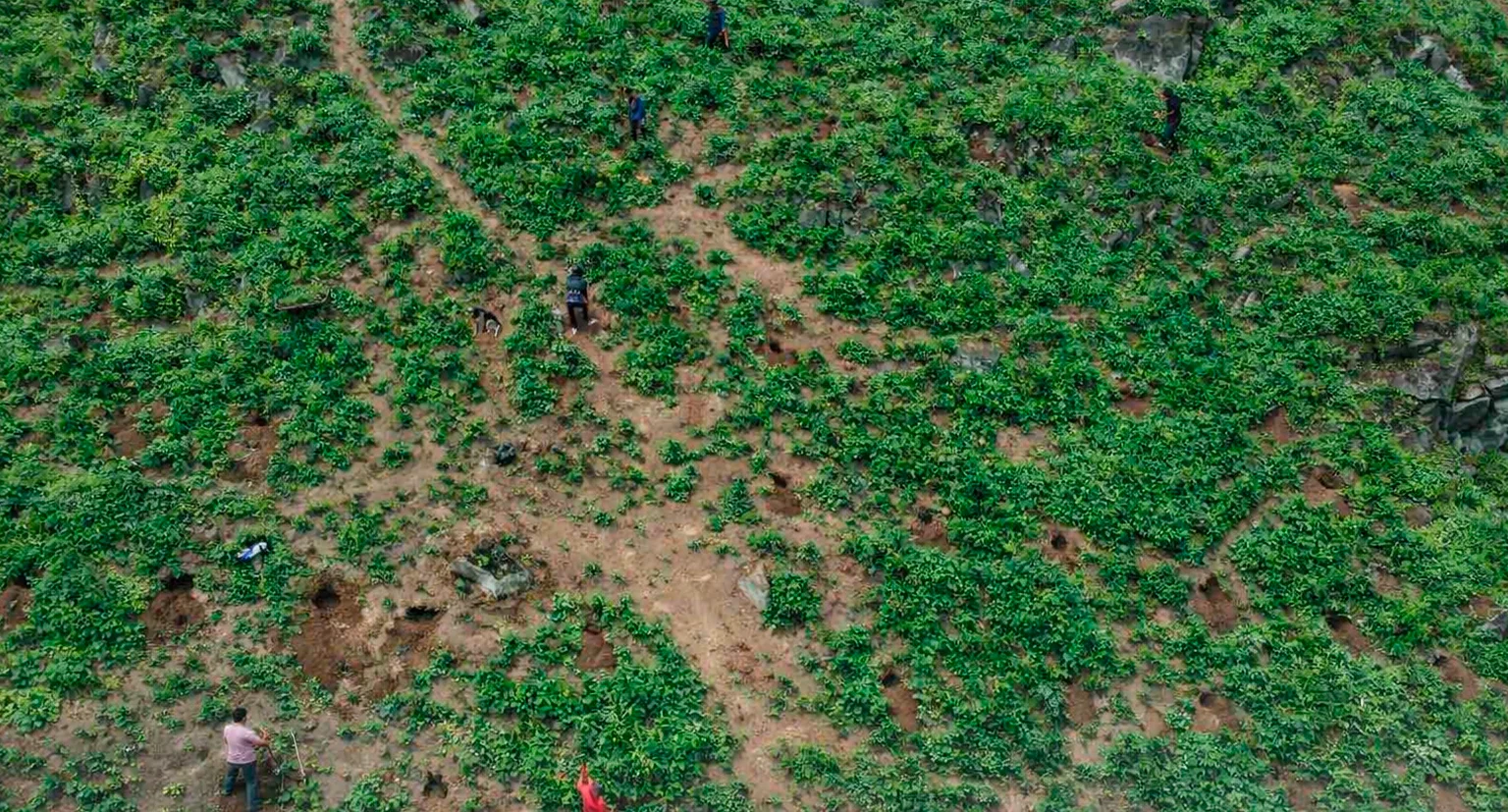 San Antonio del Tequendama: