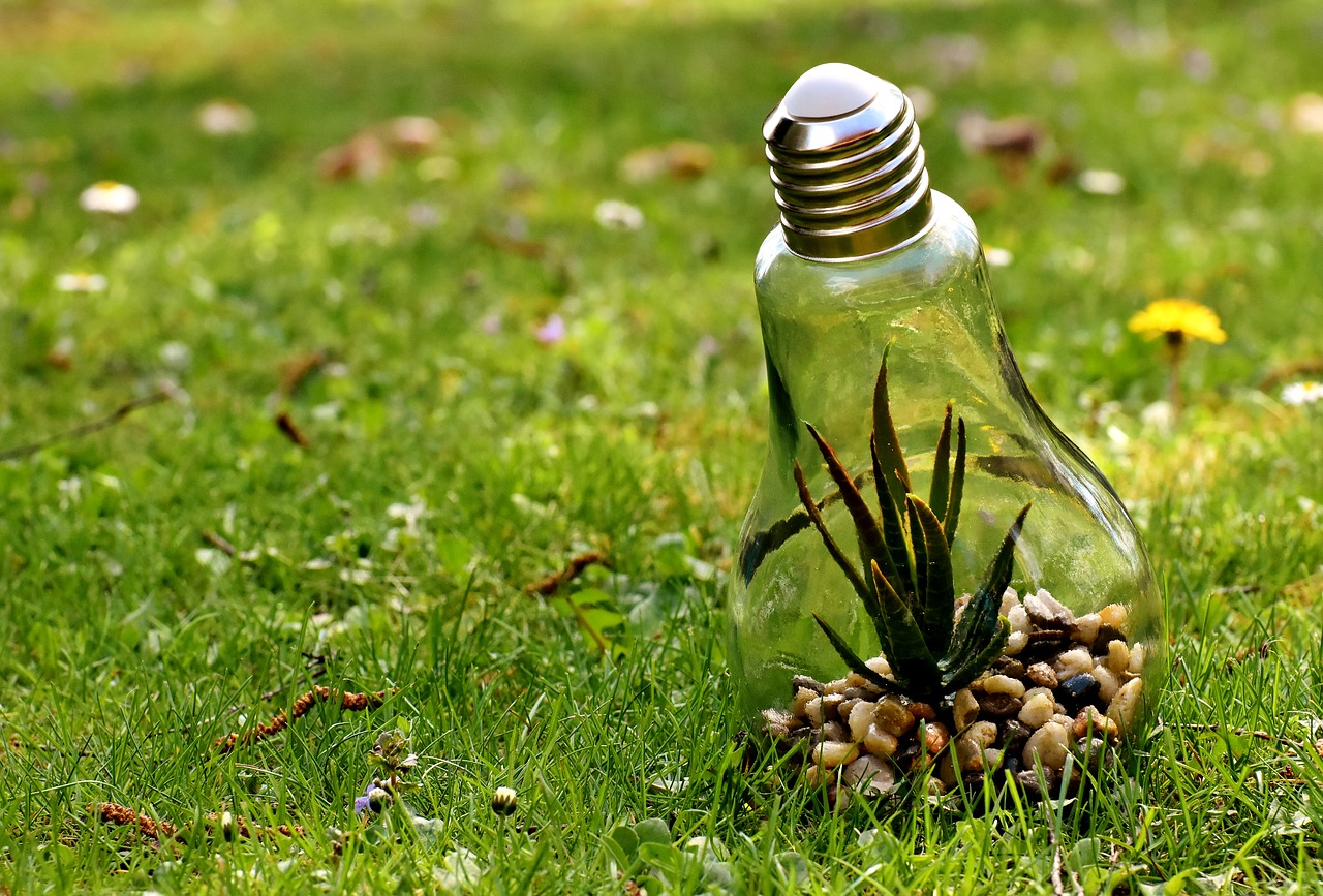 sistemas-de-compensaci-n-ambiental-para-colombia