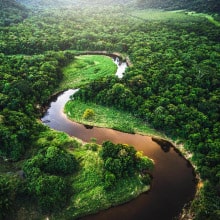 CommunityAdopt Adopta un arbol