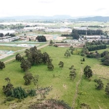 CommunityAdopt Adopta un arbol