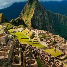 CommunityAdopt Adopta un arbol