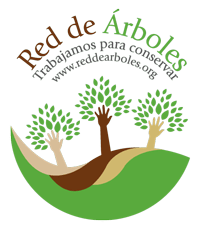 Fundación Red de Árboles, siembra de árboles, voluntariado y protección de  bosques