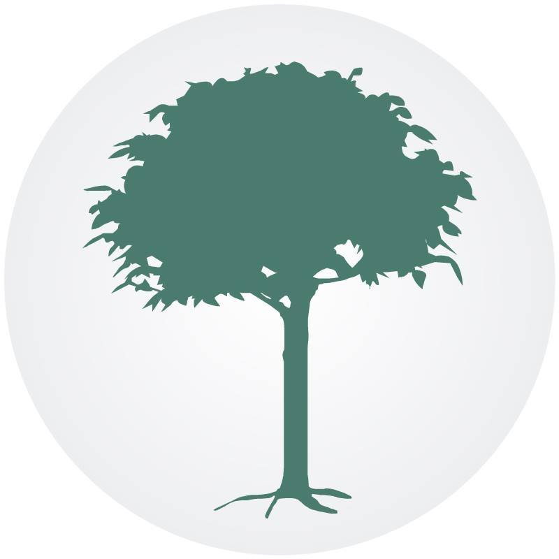 logo-noticiasambientales