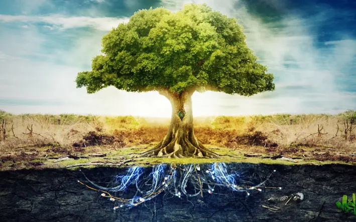Resultado de imagen para arbol