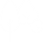 arboles
