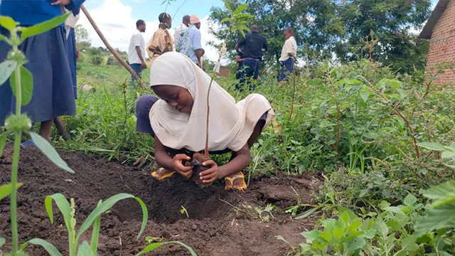 Tanzania