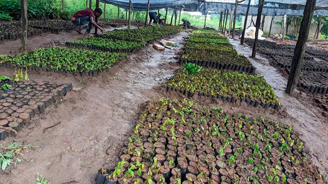 Tanzania