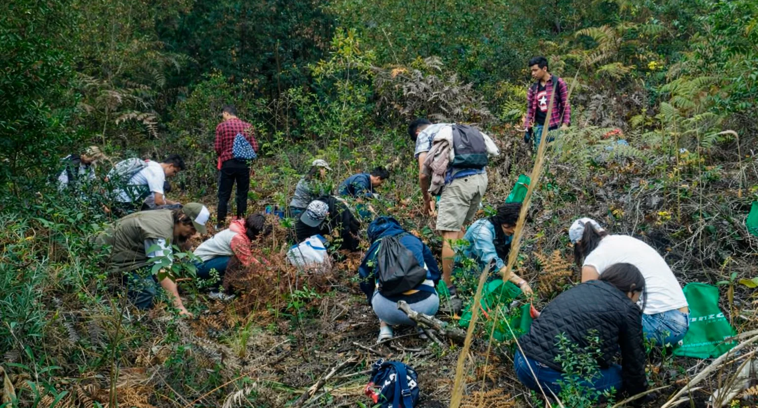 Proyectos Convenio Flores en tu Casa