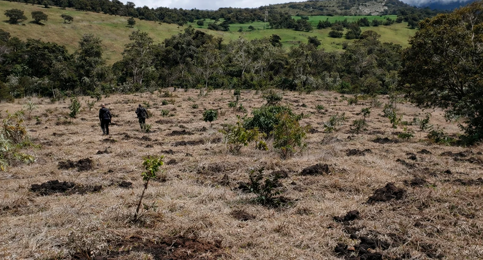 Proyectos Páramo de Sumapaz