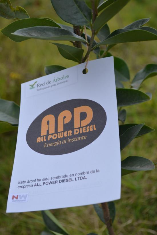 All Power Diesel APD