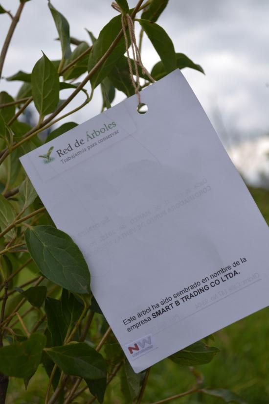 SMART B TRADING CO LTDA