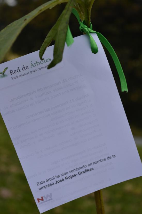 Jose Rojas - Grafikas