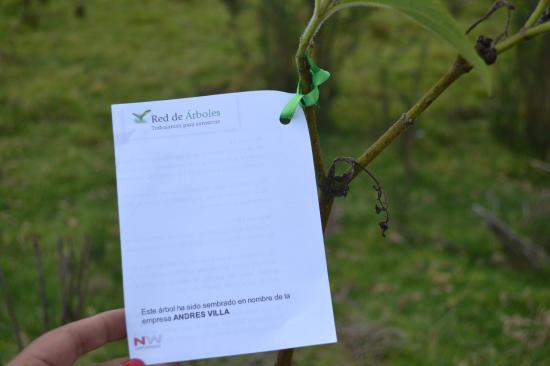 Andrés Villa apoya la reforestación de la serranía El Majuy!