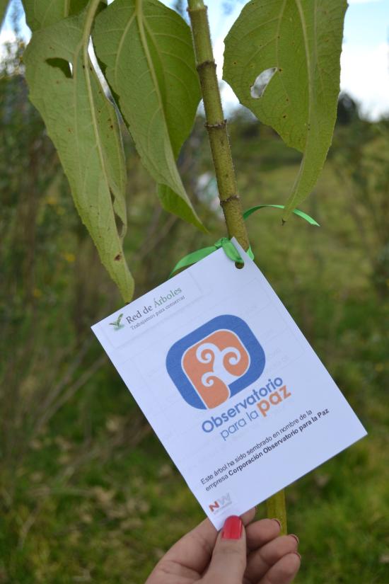 Corporación Observatorio para la Paz