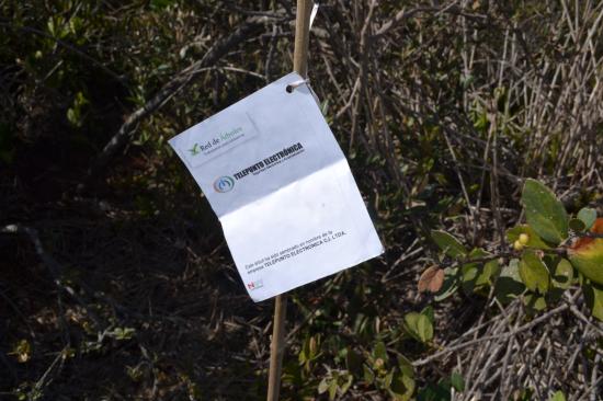 Telepunto Electrónica C.I. Ltda.