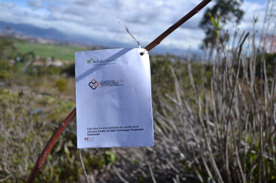 Centro de Alta Tecnología - Propiedad Horizontal