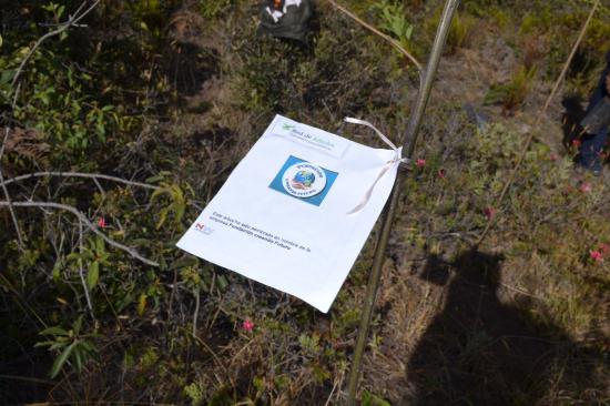 Fundación Creando Futuro