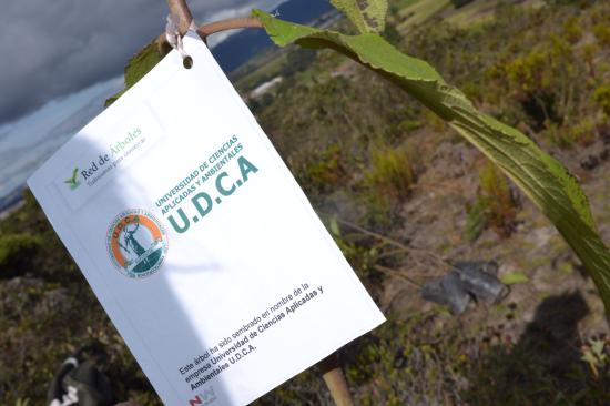 Universidad de Ciencias Aplicadas U.D.C.A.