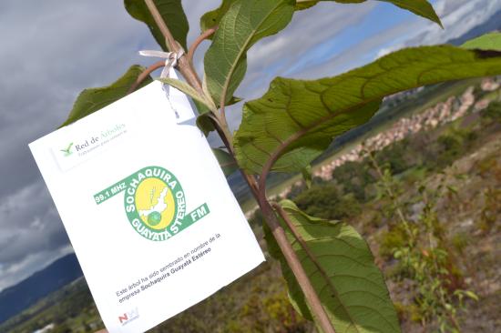 Sochaquira apoya al medio ambiente