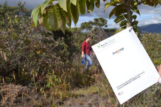 Entrega de Carga S.A.