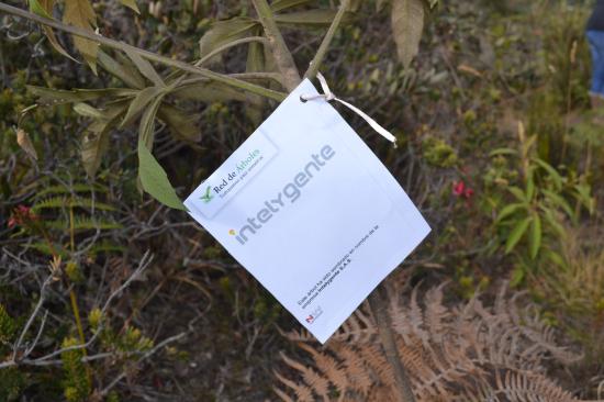 Intel & Gente S.A.S.