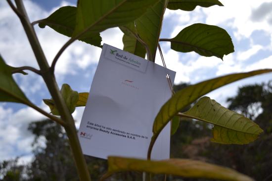 Beauty Accesories S.A.S.