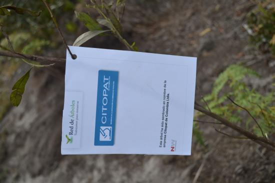 Citopat de Colombia Ltda.