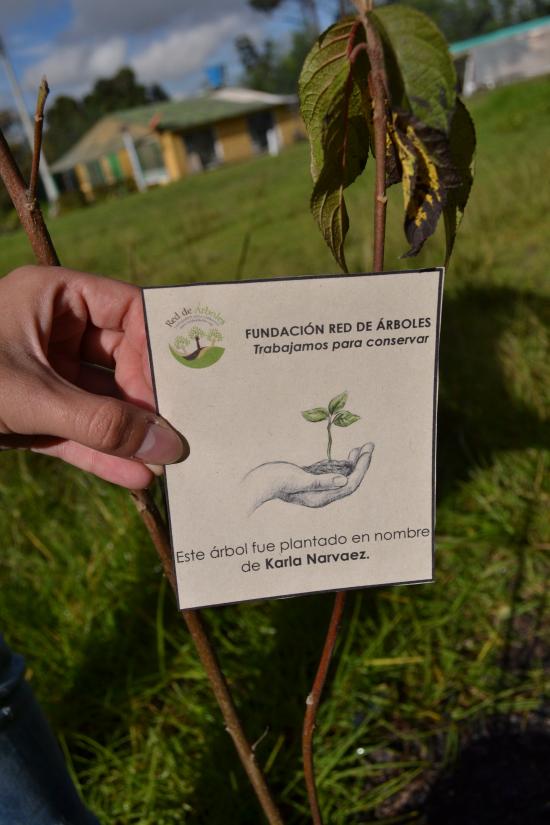 Karla Daniela Narvaez López