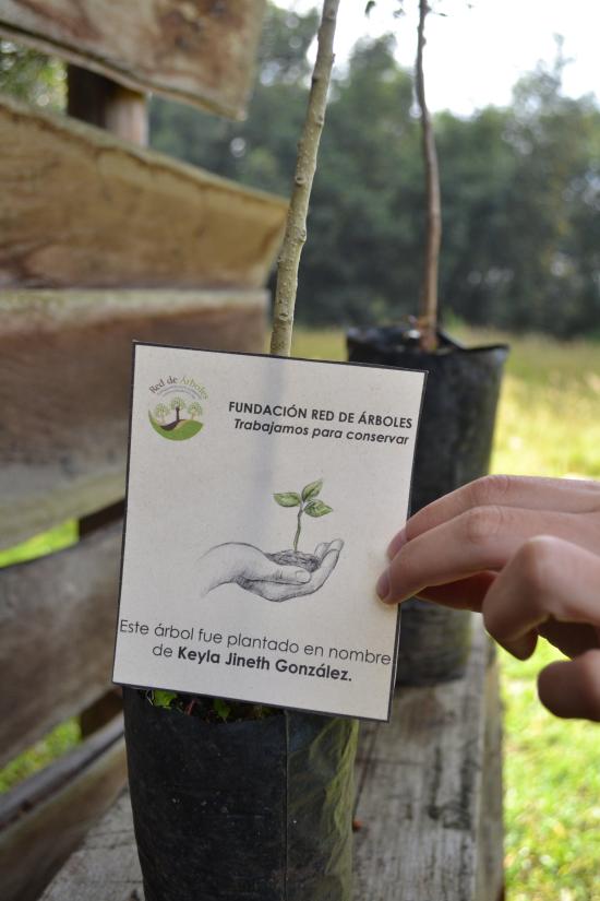 Keyla Jyneth Gonzalez 