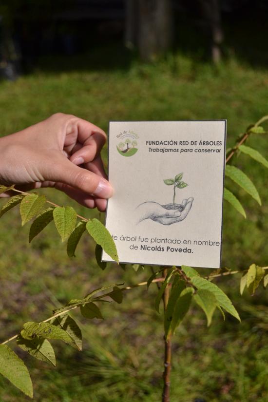 Nicolás Poveda Poveda