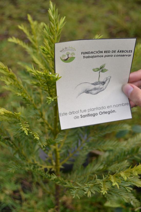 Santiago Ortegón Duarte