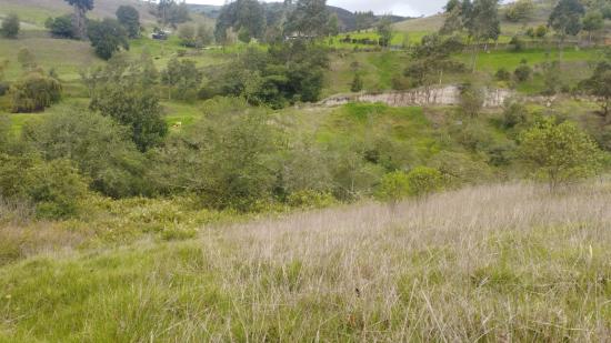 El Porvenir, Chocontá