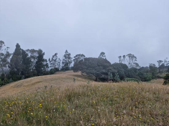 Subachoque, Cundinamarca