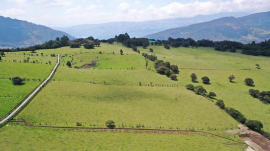 Finca Juanama, Chocontá