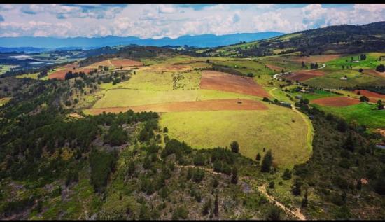 Las Planadas, Boyacá