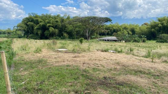 Armenia - Quindío, Colombia