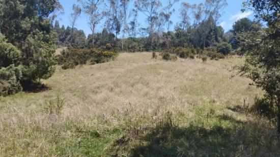La Terraza, Chapinero