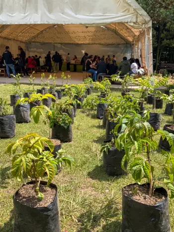 Foto colaboradores de FUNDACIÓN BOLÍVAR DAVIVIENDA