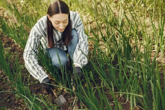 5 strategies for the improvement of green areas